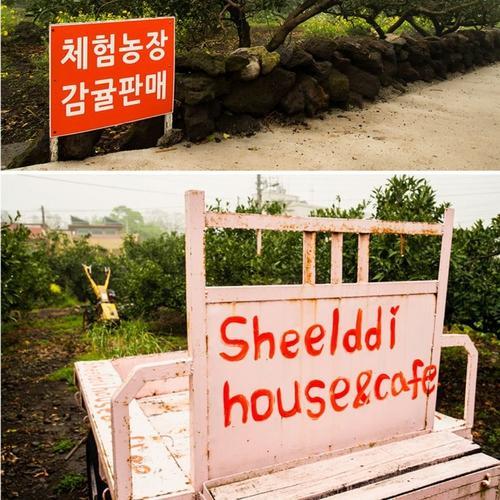 Sheelddi Pension 西归浦市 外观 照片